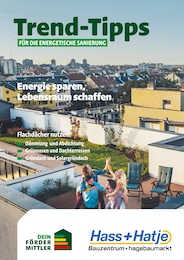 Hass + Hatje GmbH Prospekt für Zarrentin mit 7 Seiten Hass + Hatje GmbH Prospekt "Trend-Tipps FÜR DIE ENERGETISCHE SANIERUNG" für Zarrentin, 7 Seiten, 18.07.2025 - 27.07.2025