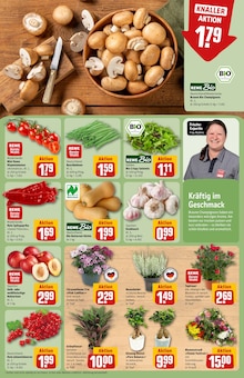 Blumen im REWE Prospekt "Dein Markt" mit 40 Seiten (Hamburg)