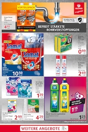 Aktueller Selgros Prospekt mit Farbe, "cash & carry", Seite 31