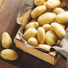 Promo Pomme de terre de consommation Intermarché Terroirs à 1,49 € dans le catalogue Intermarché Super à Lyon