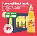 Spreequell Fruchtinade Angebot in Teltow Spreequell Fruchtinade im aktuellen Prospekt bei Getränke Hoffmann in Teltow