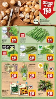 Gartenmöbel im REWE Prospekt "Dein Markt" mit 28 Seiten (Regensburg)