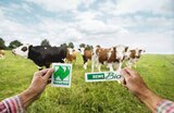 Ingwer Shot im Angebot bei REWE in Neustadt Ingwer Shot Angebote von REWE Bio bei REWE Neustadt für 0,99 €