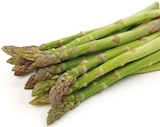 Spargel grün bei Netto mit dem Scottie im Neumünster Prospekt für 2,99 €