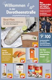 Kokosnuss Angebot im aktuellen REWE Prospekt auf Seite 31