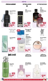 Wild Angebot & Preis im aktuellen Rossmann Prospekt Wild Angebot im aktuellen Rossmann Prospekt auf Seite 9