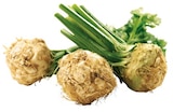 Kohl im REWE Prospekt Sellerie mit Grün im aktuellen REWE Prospekt für 1,11 €