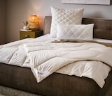 Aktuelles Ganzjahresbett Angebot bei XXXLutz Möbelhäuser in Aachen ab 39,99 €