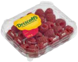 Himbeeren von Driscoll's im aktuellen EDEKA Prospekt