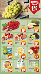 REWE Tierfutter im Prospekt 