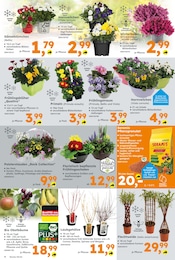 Aktueller Globus-Baumarkt Prospekt mit Äpfel, "Immer eine Idee besser", Seite 4