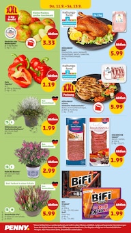 Paprika im Penny Prospekt "Wer günstig will, muss Penny." mit 33 Seiten (Ludwigshafen (Rhein))