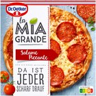 La Mia Grande Salame Piccante im Angebot bei REWE in Dachau La Mia Grande Salame Piccante Angebote von Dr. Oetker bei REWE Dachau für 3,49 €