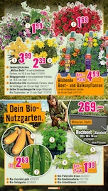 Aktueller Hornbach Prospekt mit Bio, "Du willst es. Dann bau es.", Seite 16