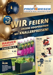 PROFI Wesch Prospekt mit 4 Seiten (Breitenworbis)