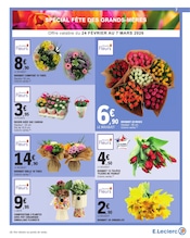 Jardinage Angebote im Prospekt "Ça réconforte, le pouvoir d'achat !" von E.Leclerc auf Seite 7