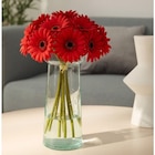 Bouquet de 10 germinis - FLEUR - Carrefour à Nice Bouquet de 10 germinis - FLEUR en promo chez Carrefour Nice à 3,99 €