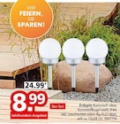Erdspitz von  im aktuellen Segmüller Prospekt für 8,99 €