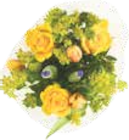 Saison Strauß Frühjahr im aktuellen V-Markt Prospekt