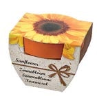 Pflanztopf FLOWER oder Pflanztopf SPRÜCHE für 1,90 € bei Trends im Angebot Pflanztopf FLOWER oder Pflanztopf SPRÜCHE im aktuellen Trends Prospekt