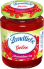Frischemarkt Friedberg - Konfitüre Angebot im Prospekt Konfitüre bei Frischemarkt Friedberg im Prospekt "" für 1,49 €