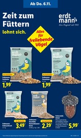 Sonnenblumenkerne im Lidl Prospekt in Goslar Aktueller Lidl Prospekt mit Sonnenblumenkerne, "LIDL LOHNT SICH", Seite 17