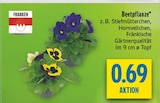 Aktuelles Beetpflanze Angebot bei diska in Chemnitz ab 0,69 €
