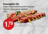 Feuerspieße XXL im aktuellen V-Markt Prospekt