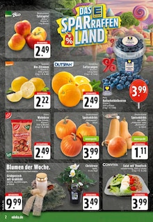 Kürbis im aktuellen EDEKA Prospekt (Osnabrück) Kürbis im EDEKA Prospekt "Aktuelle Angebote" mit 24 Seiten (Osnabrück)