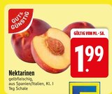 Nektarinen von Gut & Günstig im aktuellen EDEKA Prospekt für 1,99 €