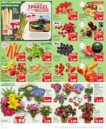 Kaufland Clematis im Prospekt Kaufland Clematis im Prospekt
