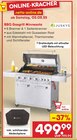 Aktuelles BBQ Gasgrill Minnesota Angebot bei Netto Marken-Discount in Dresden ab 499,99 €