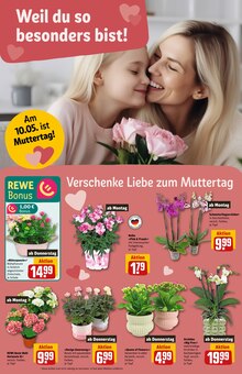 Blumen im REWE Prospekt "Dein Markt" mit 36 Seiten (Augsburg)