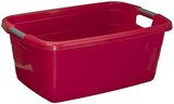 Einkaufskorb, -wanne oder Wäschewanne im Angebot bei Penny in Mainz Einkaufskorb, -wanne oder Wäschewanne Angebote bei Penny Mainz für 3,99 €