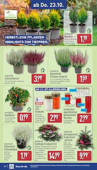 Zimmerpflanzen im aktuellen ALDI Nord Prospekt (Essen) Zimmerpflanzen im ALDI Nord Prospekt "Aktuelle Angebote" mit 43 Seiten (Essen)
