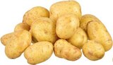 Speisekartoffeln im Angebot bei EDEKA in Rheine Speisekartoffeln Angebote von EDEKA bei EDEKA Rheine für 1,99 €