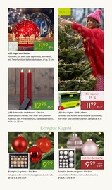 Aktueller Pflanzen Kölle Prospekt mit Dekoration, "GROSSER WEIHNACHTSBAUM-VERKAUF", Seite 5