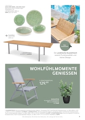 Hochlehner Angebote im Prospekt "LOUNGE, DINING & ACCESSOIRES" von porta Möbel auf Seite 9