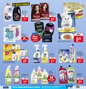 Aktueller Marktkauf Prospekt mit Katzenfutter, "Aktuelle Angebote", Seite 25