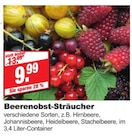 bauSpezi Neunkirchen - Beerenobst-Sträucher Angebot im Prospekt Beerenobst-Sträucher bei bauSpezi im Neunkirchen Prospekt für 9,99 €