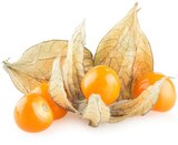 Physalis bei REWE im Hackermoos Prospekt für 1,11 €