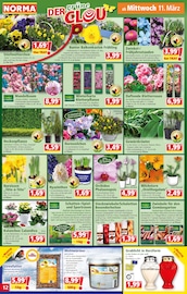 Aktueller Norma Prospekt mit Kleiderschrank, "Mehr fürs Geld", Seite 12