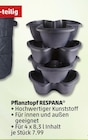 Penny Neuruppin Prospekt mit  im Angebot für 7,99 €