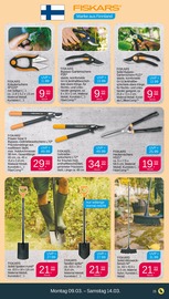 Spaten im Netto mit dem Scottie Prospekt in Potsdam Aktueller Netto mit dem Scottie Prospekt mit Spaten, "Günstig. Besser. Für Dich.", Seite 21