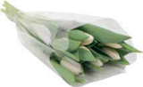 Herbst-Tulpen für 2,99 € bei aktiv & irma im Angebot Herbst-Tulpen im aktuellen aktiv & irma Prospekt
