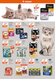 Whiskas Katzennahrung Angebot im aktuellen Müller Prospekt auf Seite 14