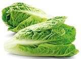 Bio Romana Salatherzen im Angebot bei REWE in Erlangen Bio Romana Salatherzen Angebote von REWE Bio bei REWE Erlangen für 1,49 €