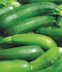 Promo Courgettes à 1,79 € dans le catalogue Bi1 à Avallon