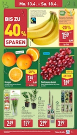 Obstbaum im ALDI Nord Prospekt in Herford Aktueller ALDI Nord Prospekt mit Obstbaum, "Aktuelle Angebote", Seite 7