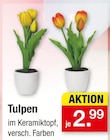 Tulpen Angebote bei Zimmermann Bremen für 2,99 €